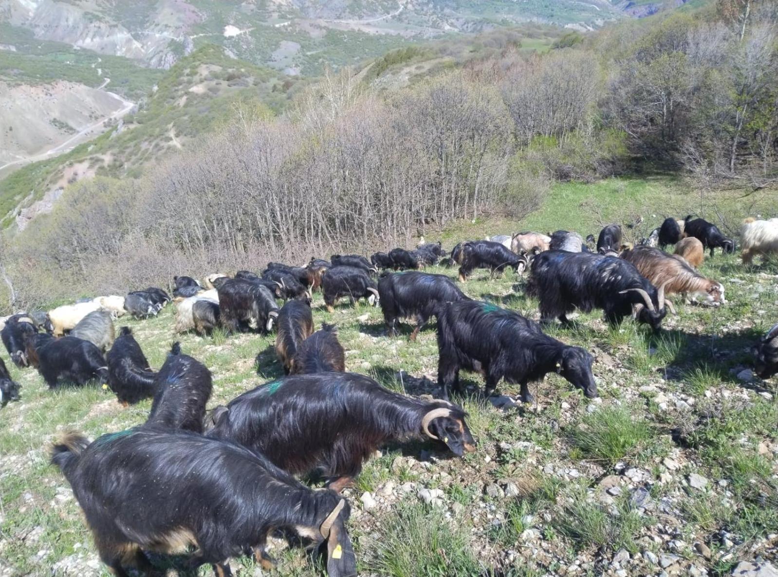 Askireg Hotel Tunceli Exterior foto