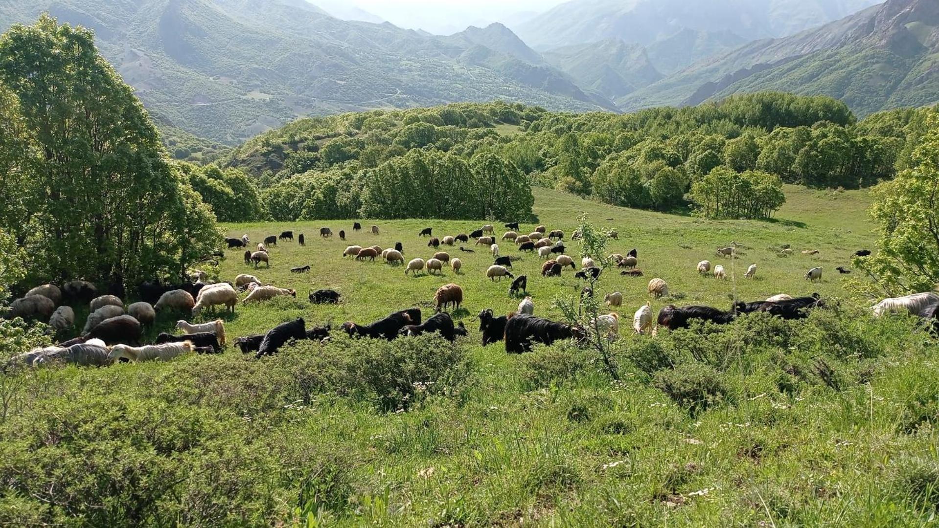 Askireg Hotel Tunceli Exterior foto